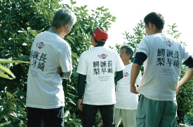 前代未聞の挑戦に挑んだみかん農家チーム